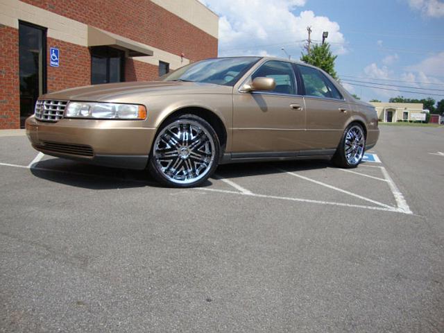 Gold-caddy-on-20-inch-515.jpg
