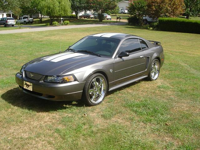 Mustang-on-20inch-lg.jpg