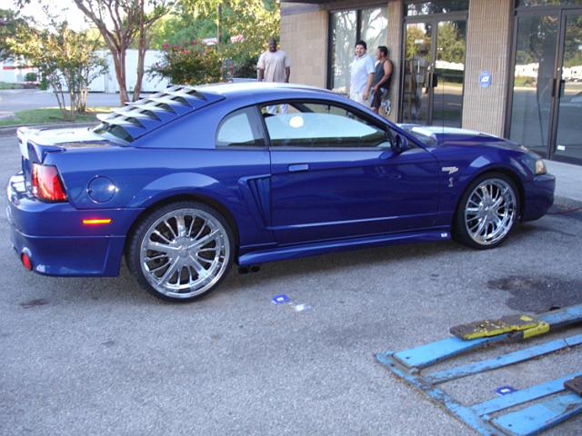 cobra-mustang-004-lg.jpg
