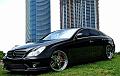 06-SL55-lg