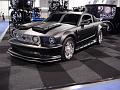 DSC01052-lg