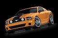 Mustang-sentinel