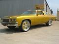 Yellow-Caprice-lg