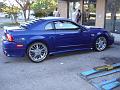 cobra-mustang-004-lg