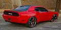 gallery_1069-l