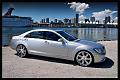 silver-sl55_lg