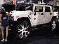 DSC01054-lg