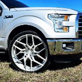 Z-Gallery-f150-brushed-EV01